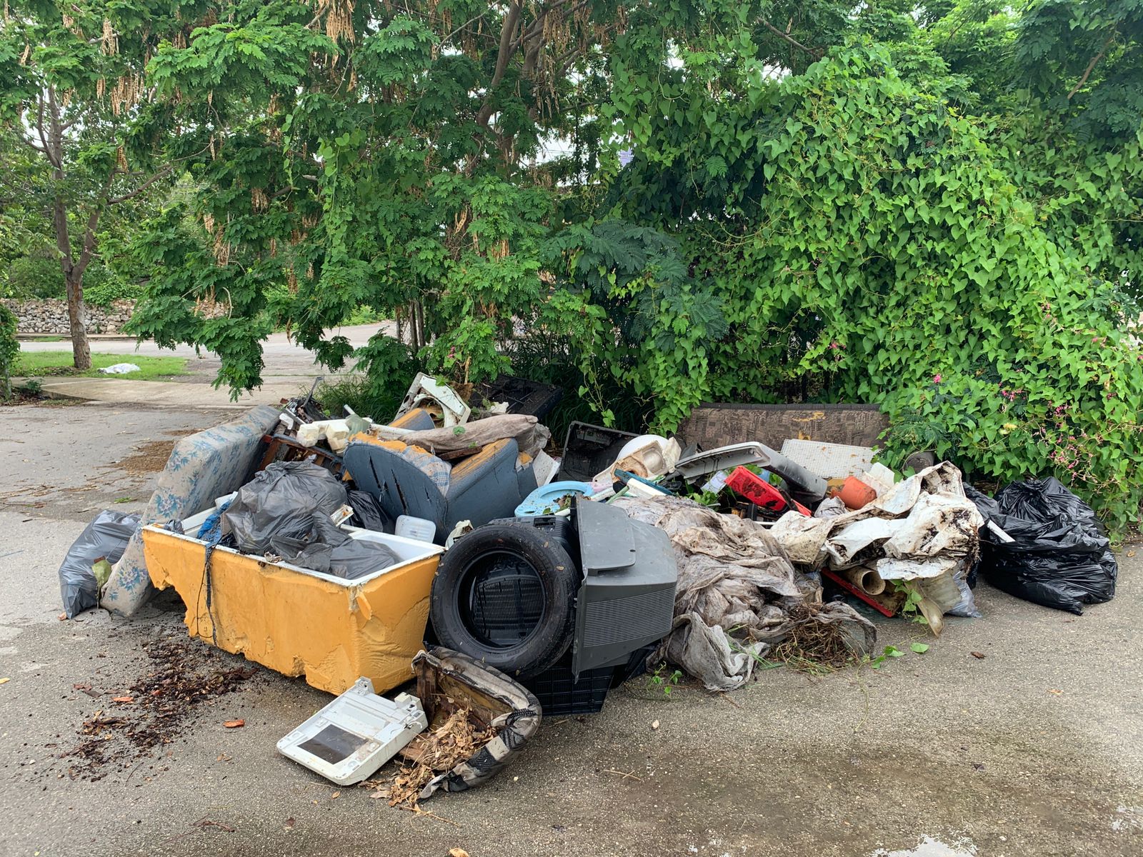 Vecinos y vecinas realizan labores de limpieza en La Plancha